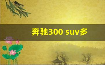 奔驰300 suv多少钱,奔驰suv大全